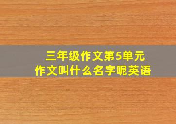 三年级作文第5单元作文叫什么名字呢英语