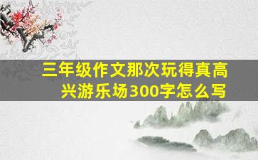 三年级作文那次玩得真高兴游乐场300字怎么写