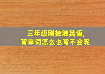 三年级刚接触英语,背单词怎么也背不会呢