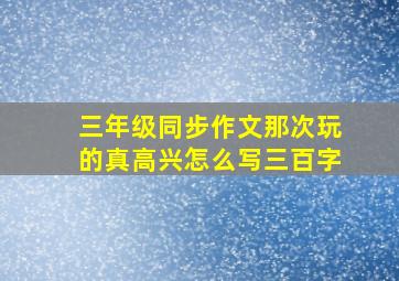 三年级同步作文那次玩的真高兴怎么写三百字