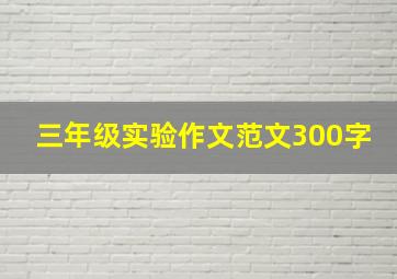 三年级实验作文范文300字