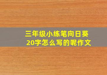 三年级小练笔向日葵20字怎么写的呢作文