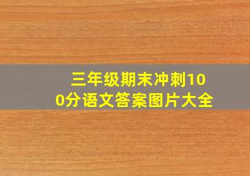 三年级期末冲刺100分语文答案图片大全