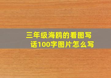 三年级海鸥的看图写话100字图片怎么写