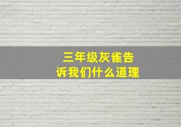 三年级灰雀告诉我们什么道理