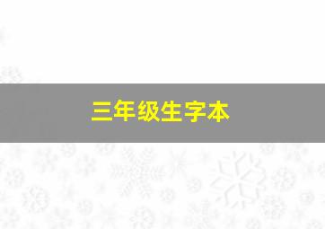 三年级生字本