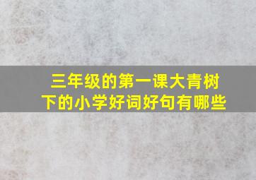 三年级的第一课大青树下的小学好词好句有哪些