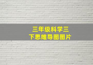 三年级科学三下思维导图图片