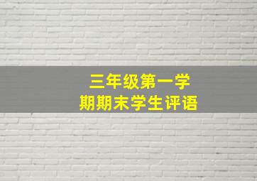 三年级第一学期期末学生评语