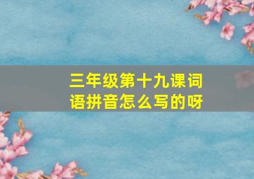 三年级第十九课词语拼音怎么写的呀