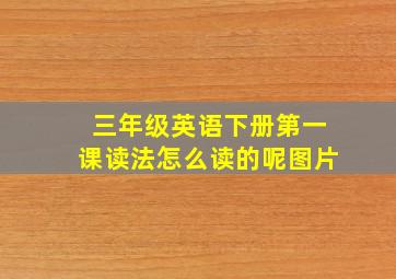 三年级英语下册第一课读法怎么读的呢图片