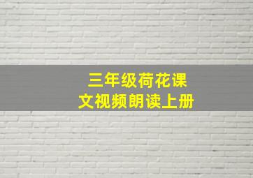 三年级荷花课文视频朗读上册