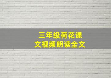 三年级荷花课文视频朗读全文