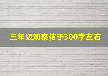 三年级观察桔子300字左右