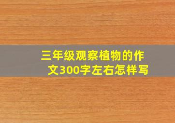 三年级观察植物的作文300字左右怎样写