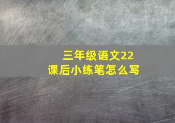 三年级语文22课后小练笔怎么写