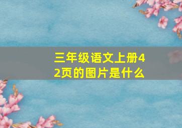 三年级语文上册42页的图片是什么