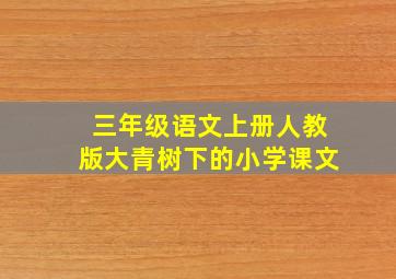 三年级语文上册人教版大青树下的小学课文