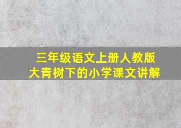 三年级语文上册人教版大青树下的小学课文讲解