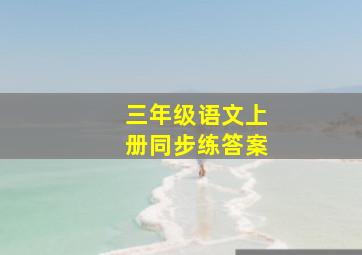 三年级语文上册同步练答案