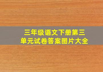 三年级语文下册第三单元试卷答案图片大全