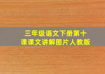 三年级语文下册第十课课文讲解图片人教版