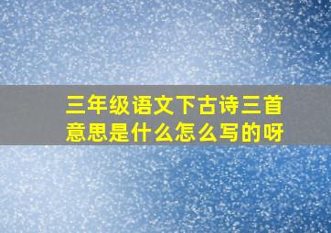 三年级语文下古诗三首意思是什么怎么写的呀