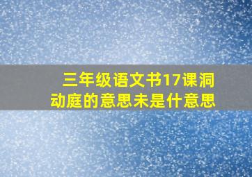 三年级语文书17课洞动庭的意思未是什意思