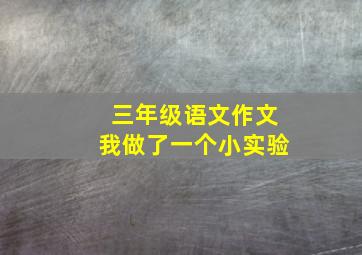 三年级语文作文我做了一个小实验