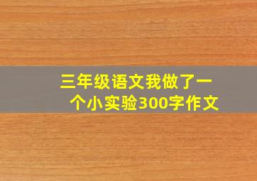 三年级语文我做了一个小实验300字作文