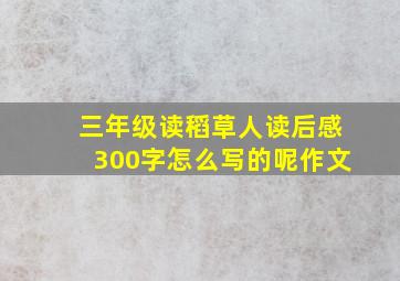 三年级读稻草人读后感300字怎么写的呢作文