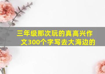 三年级那次玩的真高兴作文300个字写去大海边的