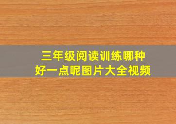 三年级阅读训练哪种好一点呢图片大全视频