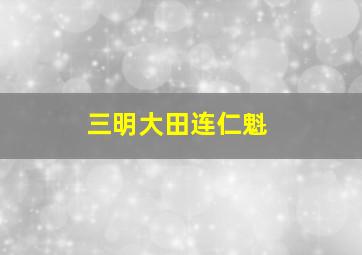 三明大田连仁魁