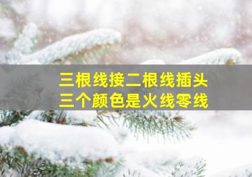 三根线接二根线插头三个颜色是火线零线