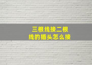 三根线接二根线的插头怎么接