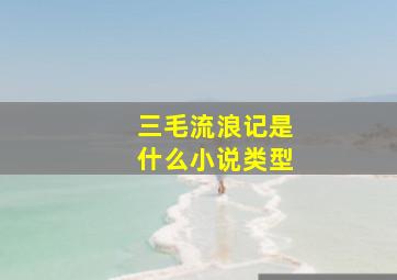 三毛流浪记是什么小说类型