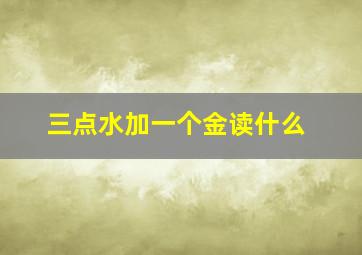 三点水加一个金读什么