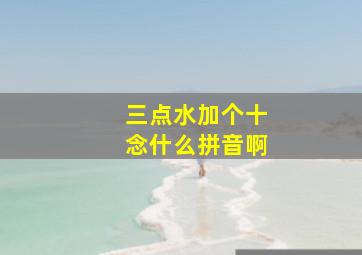 三点水加个十念什么拼音啊