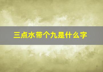 三点水带个九是什么字