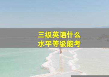 三级英语什么水平等级能考