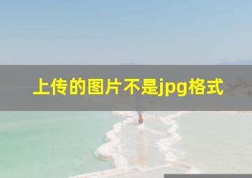 上传的图片不是jpg格式