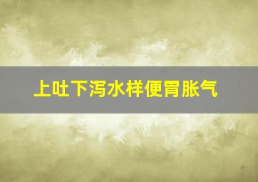 上吐下泻水样便胃胀气