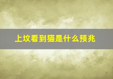 上坟看到猫是什么预兆