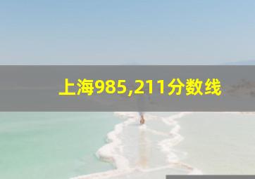 上海985,211分数线