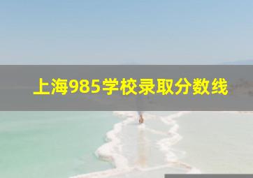 上海985学校录取分数线