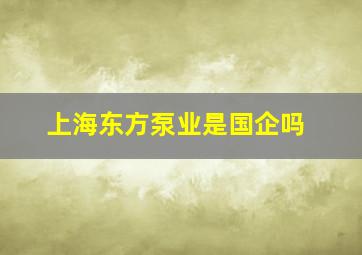 上海东方泵业是国企吗