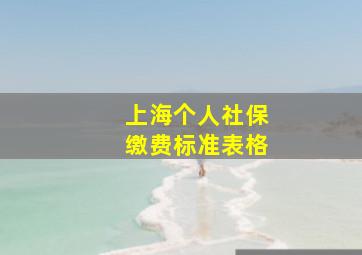 上海个人社保缴费标准表格