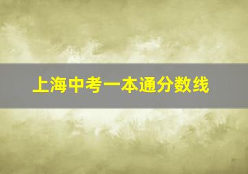 上海中考一本通分数线