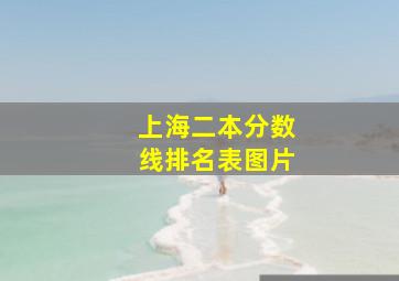 上海二本分数线排名表图片